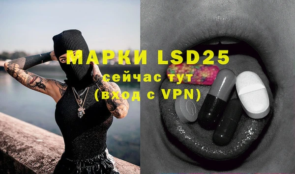 a pvp Инсар