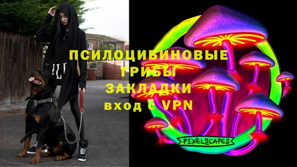 спиды Зеленокумск
