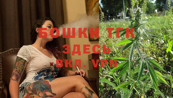спиды Зеленокумск